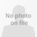 tl_files/fM_k0005/bilder/research_team/75 no photo_2.png